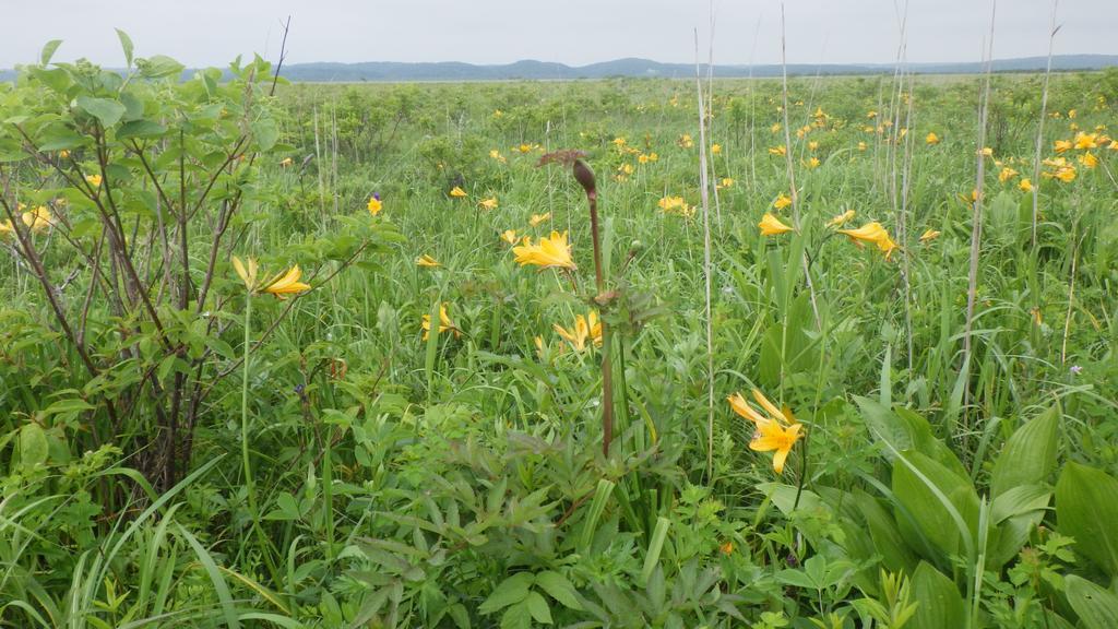 Kiritappuri Guest House Hokkaido Luaran gambar